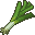 Leek